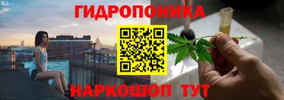 крисы Янаул