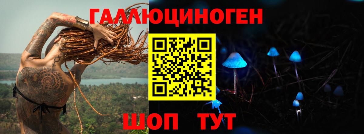 Псилоцибиновые грибы GOLDEN TEACHER  Галлюциногенные грибы Magic Shrooms  что такое наркотик  Вход с VPN  Богородск 