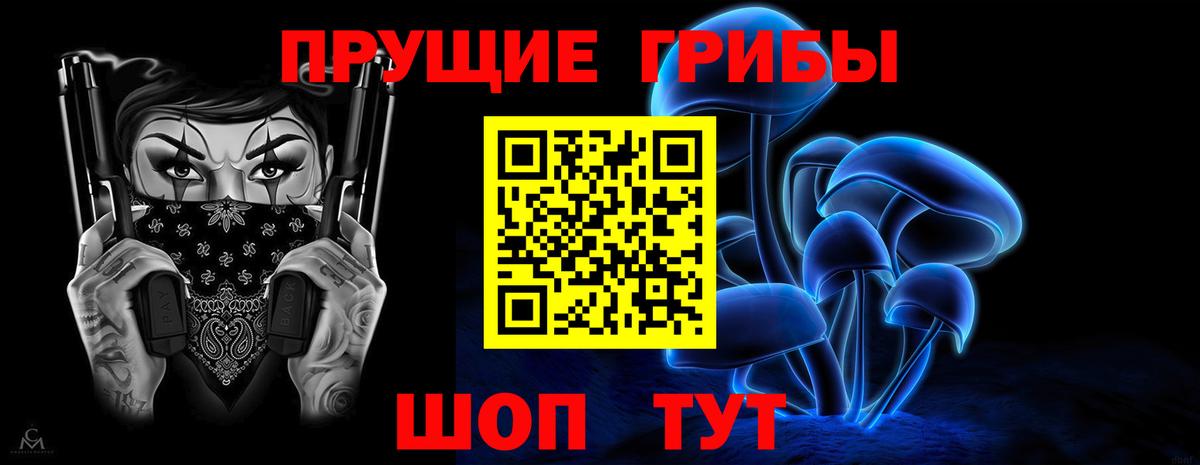 Псилоцибиновые грибы Psilocybine cubensis Богородск